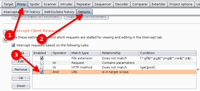 burp suite proxy options